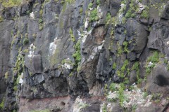 IMG_0095
