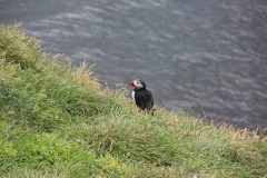 IMG_0147