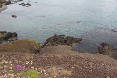 IMG_0158
