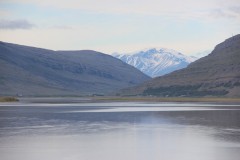 IMG_0202