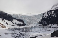 IMG_0244