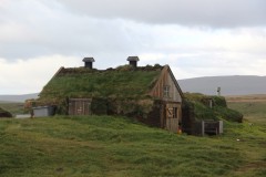 IMG_0275