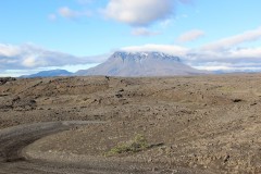 IMG_0286
