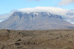 IMG_0287