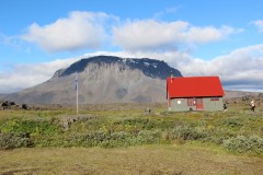 IMG_0290