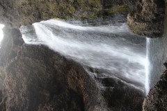 IMG_0310