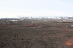 IMG_0315