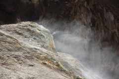 IMG_0333