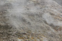 IMG_0335