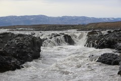 IMG_0346