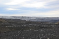 IMG_0347