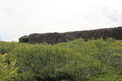 IMG_0434