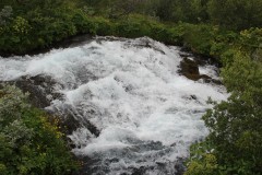 IMG_0449