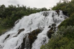 IMG_0457