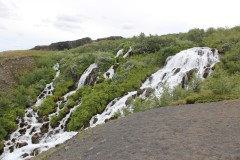 IMG_0461