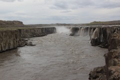 IMG_0481