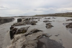 IMG_0487
