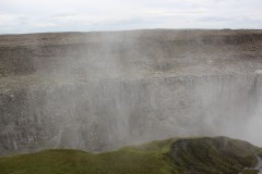 IMG_0494