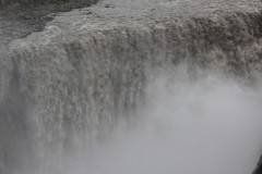 IMG_0496