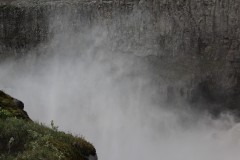 IMG_0501