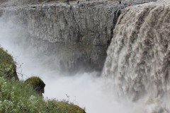 IMG_0508