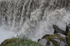 IMG_0509