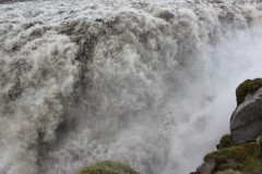 IMG_0513
