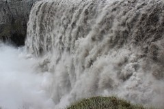IMG_0515