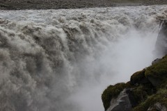IMG_0517