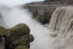IMG_0518