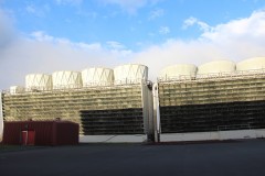 IMG_0528