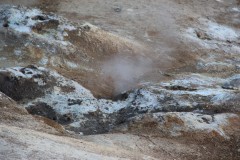 IMG_0565