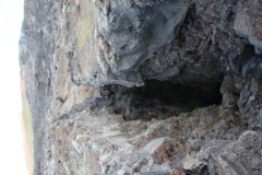 IMG_0590