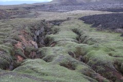 IMG_0603