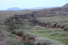 IMG_0604