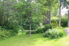 IMG_0843