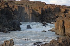 IMG_0881