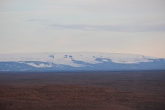 IMG_0894
