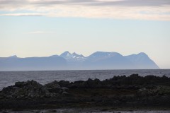 IMG_1129