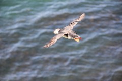IMG_1281