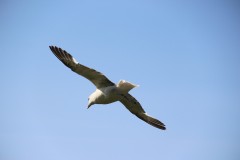 IMG_1288