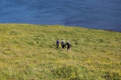 IMG_1291
