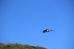 IMG_1297