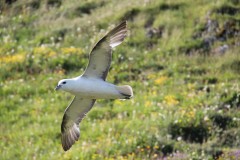 IMG_1302
