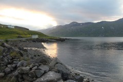 IMG_1330