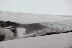 IMG_1370