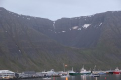 IMG_1401