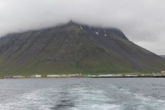 IMG_1416
