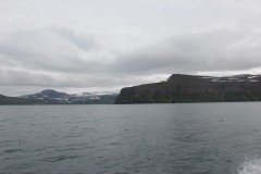 IMG_1417