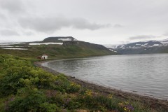 IMG_1441